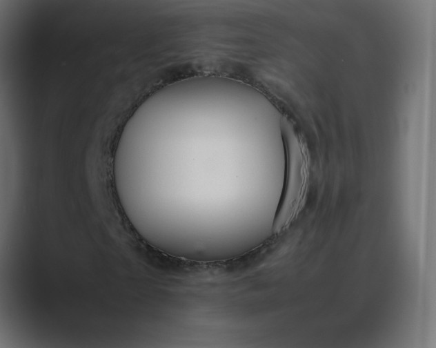 X0000089360865200706291039