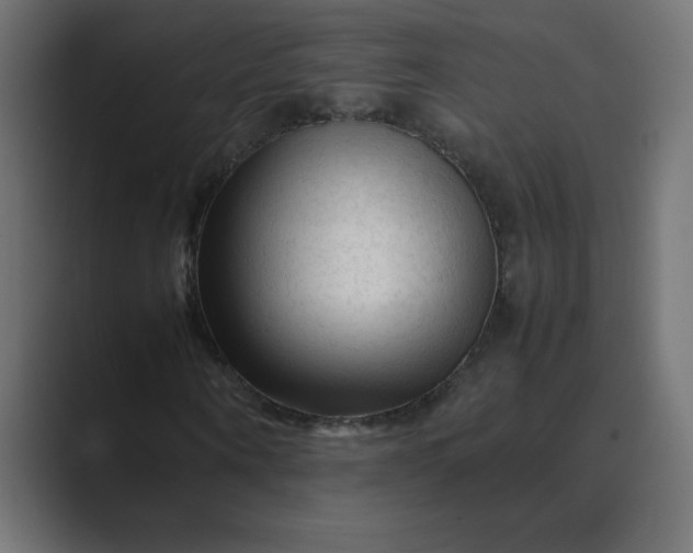 X0000089360866200706291039