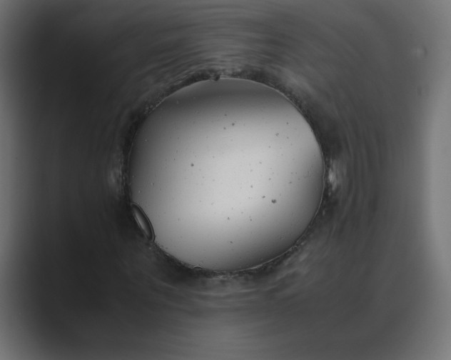 X0000089360867200706291039