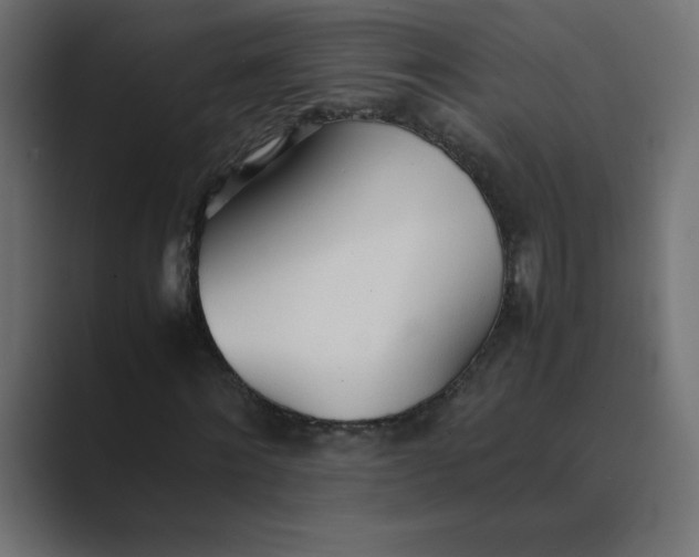 X0000089360868200706291039