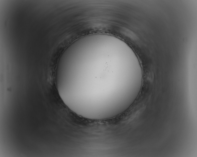 X0000089360869200706291039