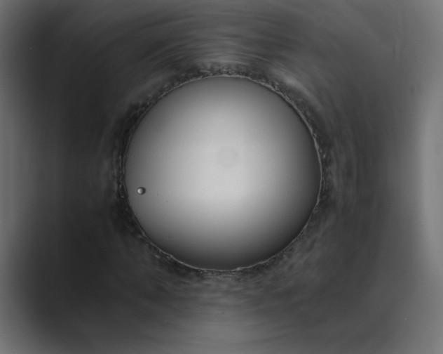 X0000089360870200706291039