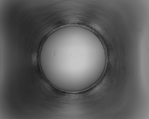 X0000089360873200706291039