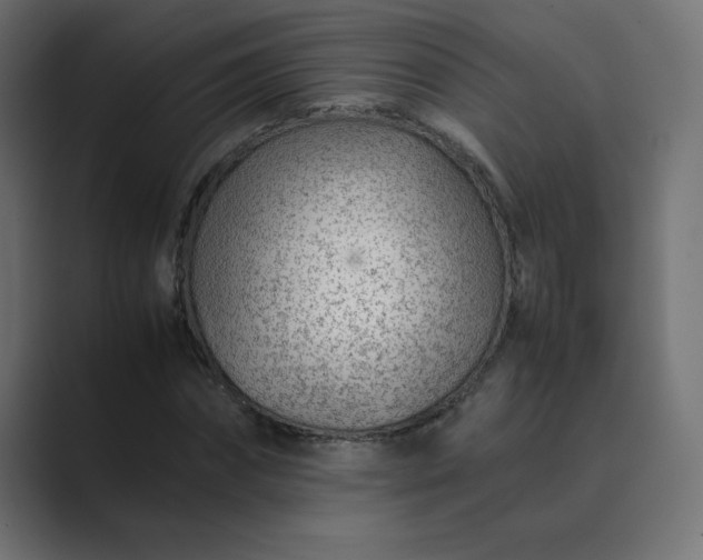 X0000089360874200706291039