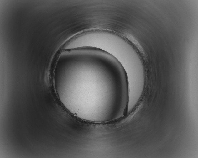 X0000089360876200706291039