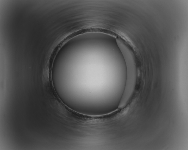 X0000089360877200706291039