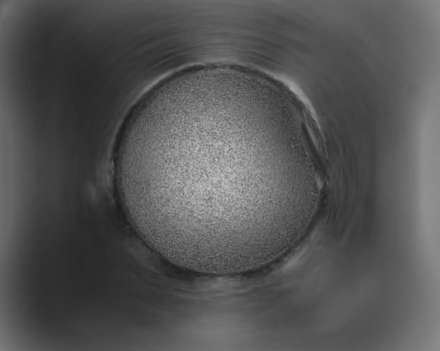 X0000089360879200706291039