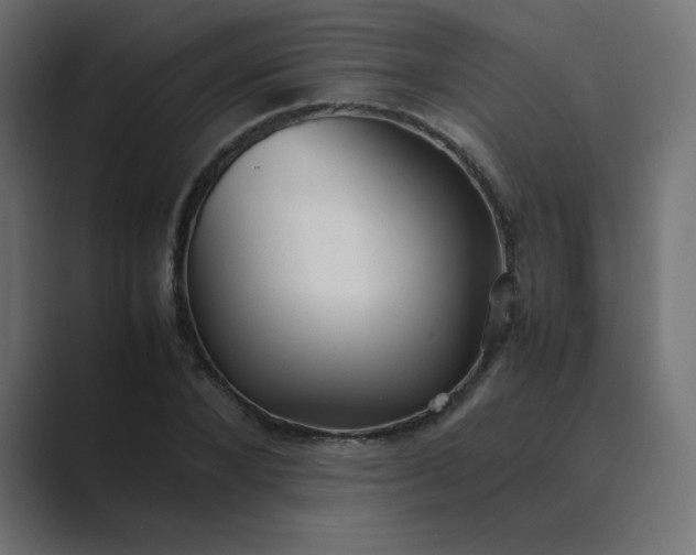 X0000089360880200706291039