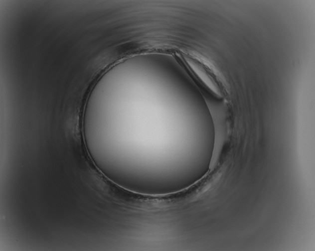 X0000089360881200706291039