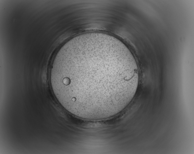 X0000089360882200706291039