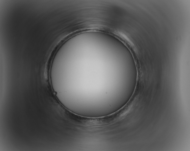 X0000089360883200706291039