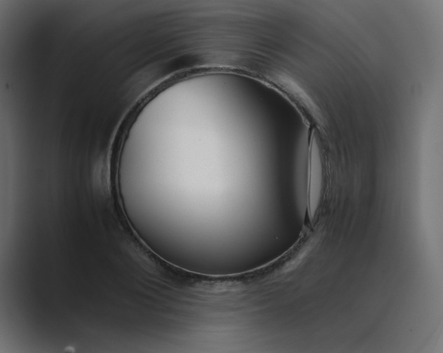 X0000089360884200706291039