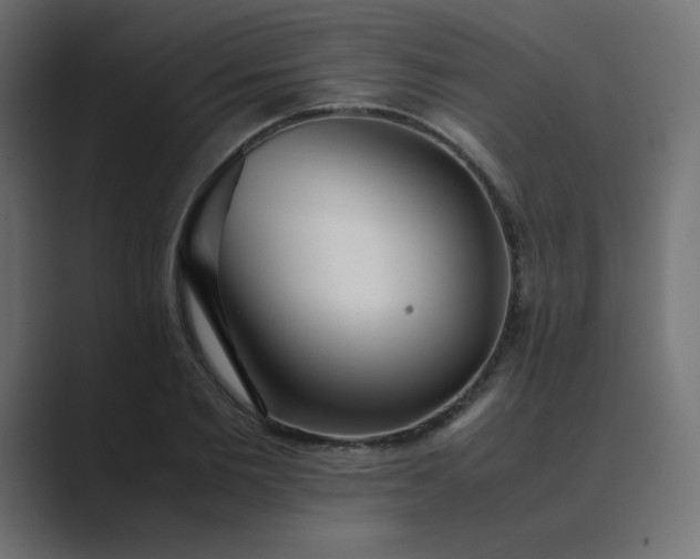 X0000089360885200706291039