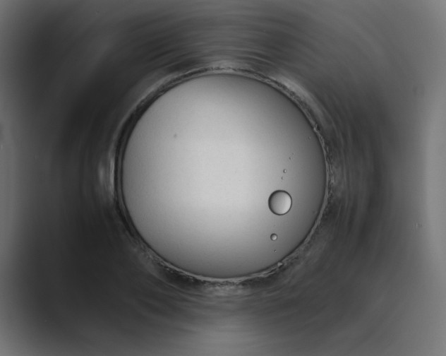 X0000089360886200706291039