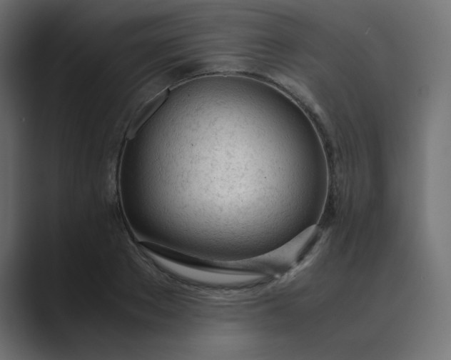 X0000089360889200706291039