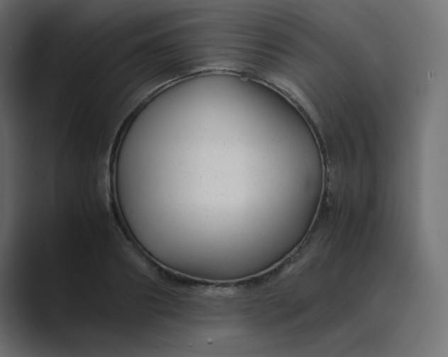 X0000089360890200706291039