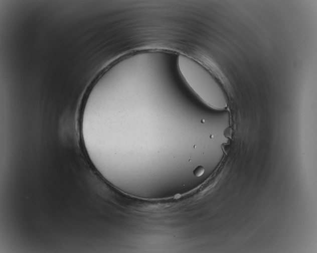 X0000089360892200706291039