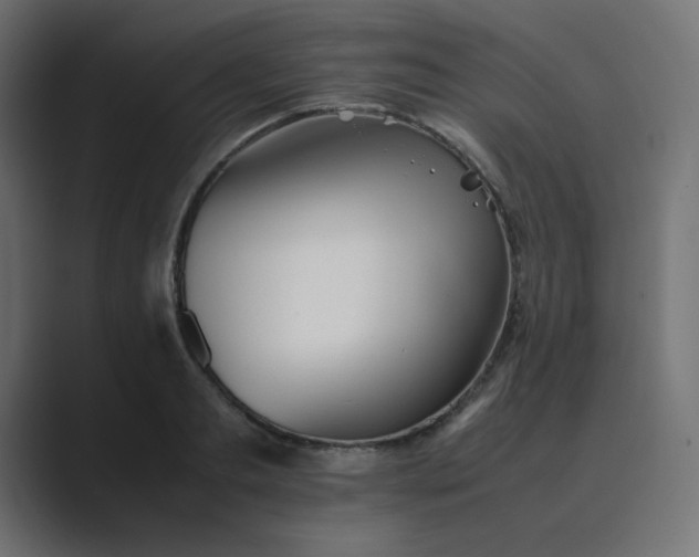 X0000089360893200706291039