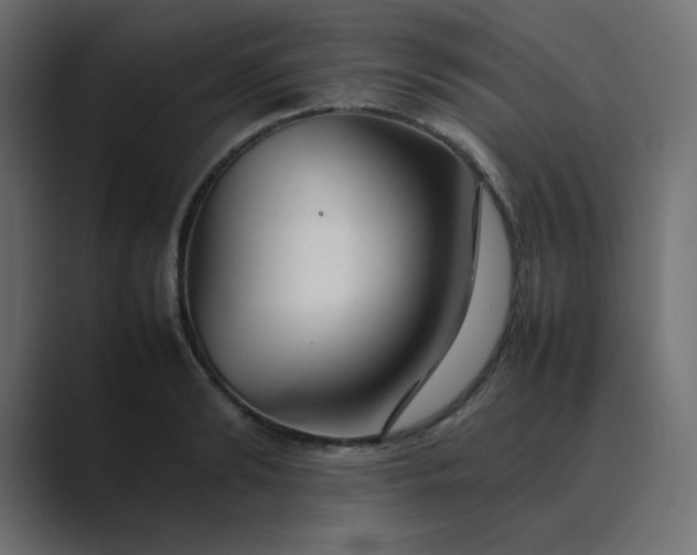 X0000089360894200706291039