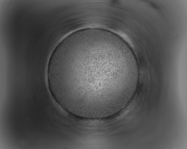 X0000089360895200706291039