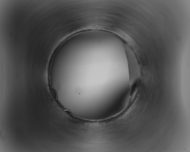 X0000089360896200706291039