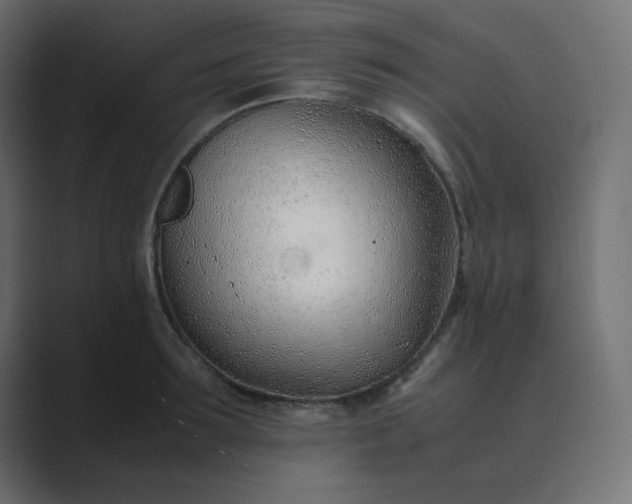 X0000089360899200706291039