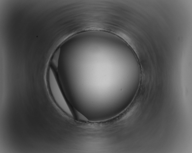 X0000089360901200706291039