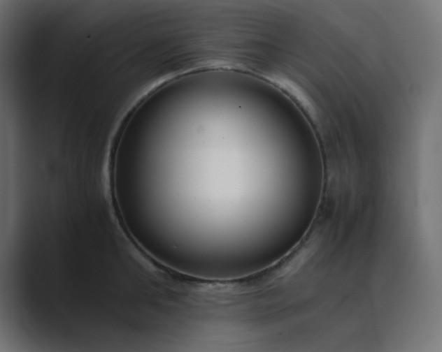 X0000089360902200706291039