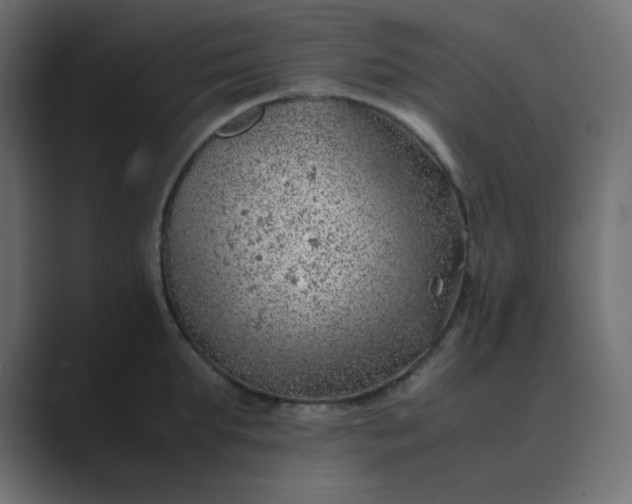 X0000089360903200706291039