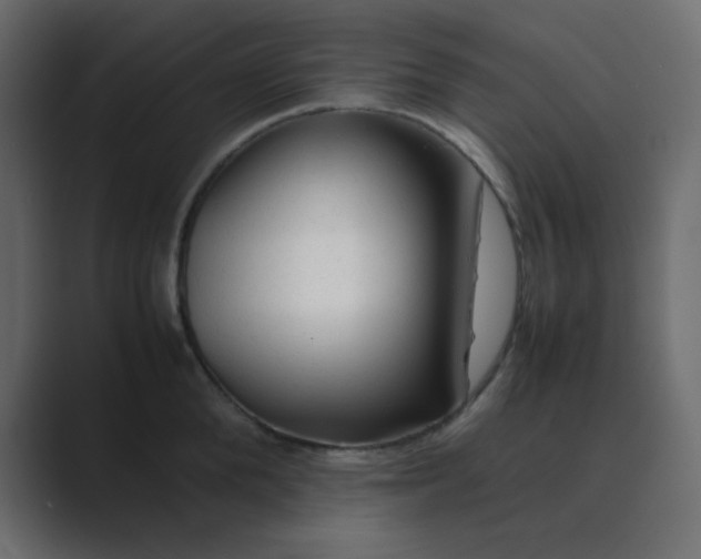 X0000089360904200706291039