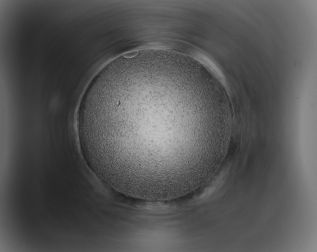 X0000089360907200706291039