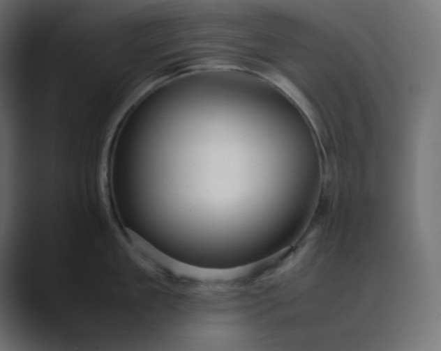 X0000089360909200706291039