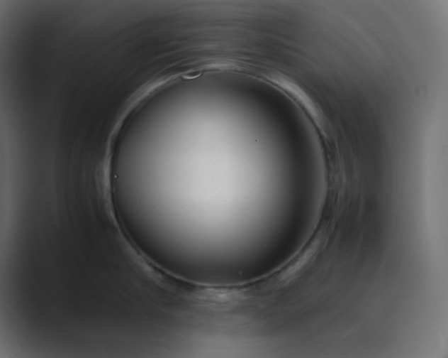 X0000089360910200706291039