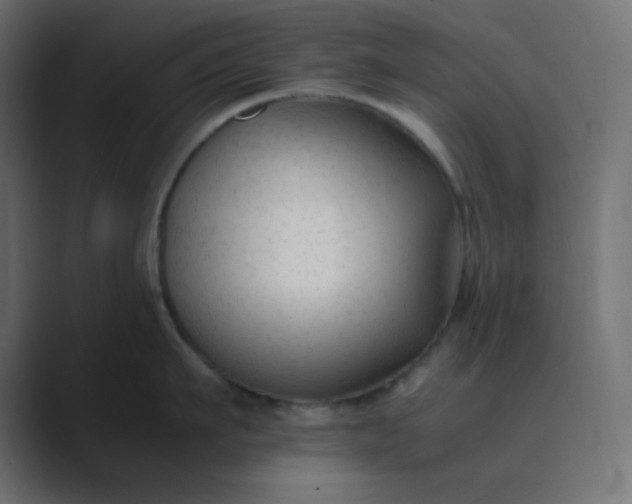 X0000089360911200706291039