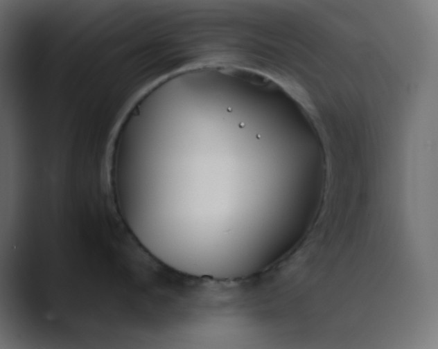 X0000089360912200706291039