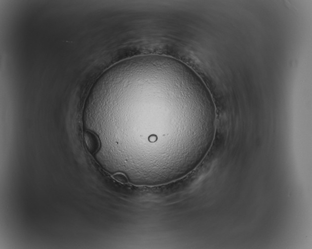 X0000089360913200706291038