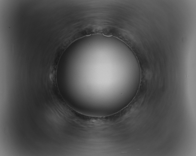 X0000089360914200706291038