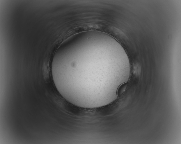 X0000089360915200706291038