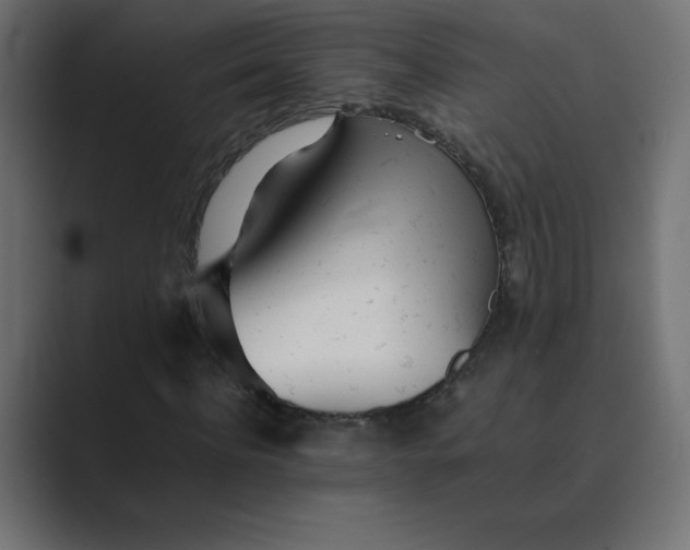 X0000089360916200706291038