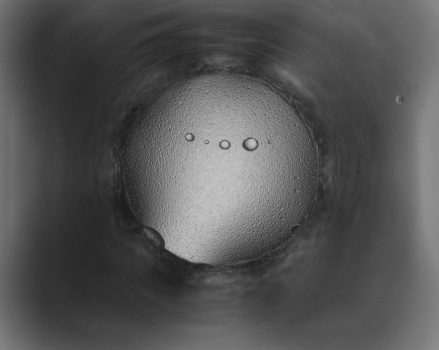 X0000089360917200706291038