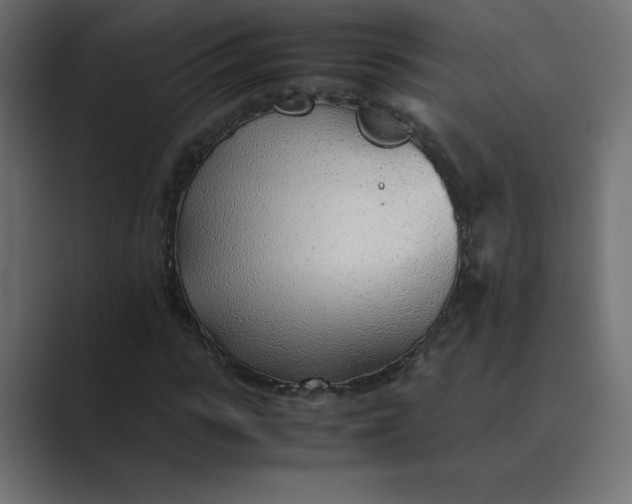 X0000089360919200706291038