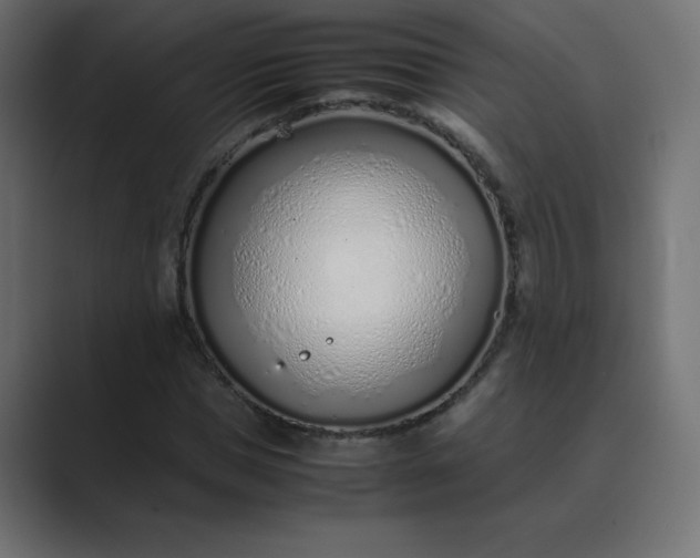 X0000089360921200706291038