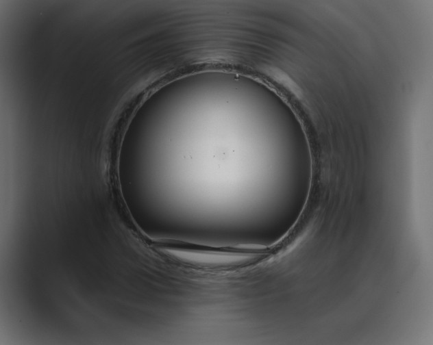 X0000089360922200706291038