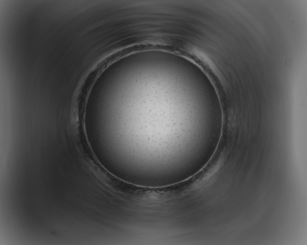 X0000089360923200706291038