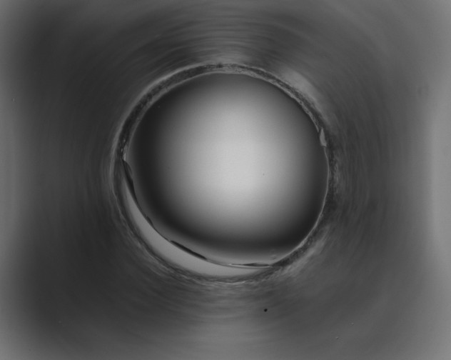 X0000089360924200706291038