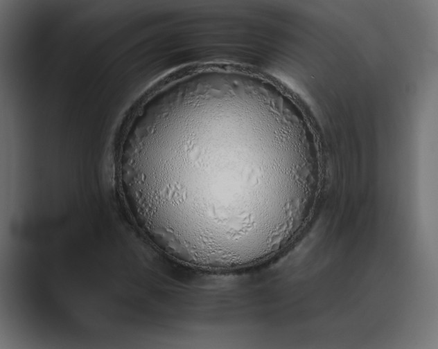 X0000089360925200706291038