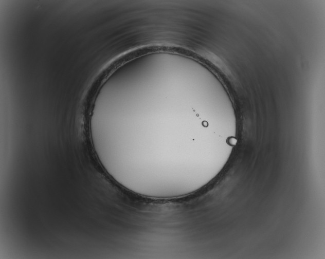 X0000089360926200706291038