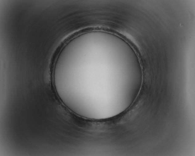 X0000089360927200706291038