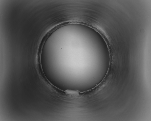 X0000089360928200706291038