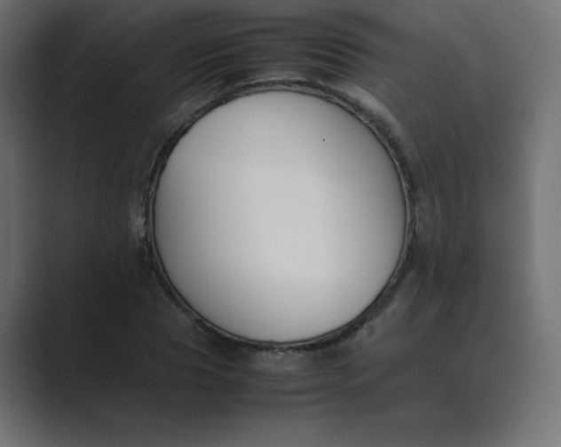 X0000089360929200706291038